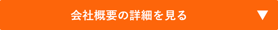 会社概要の詳細を見る